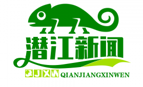 《新四军老战士口述史出版：江汉平原游击战的烽火岁月深情回顾》